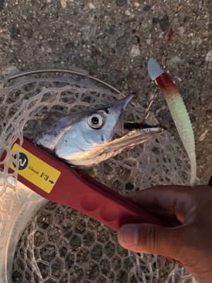 どうにかなった。