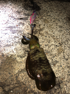 追い風を背に受けて！届け女神様♡