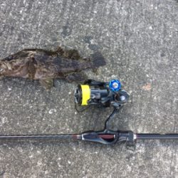 デイガシリング＆タチウオ