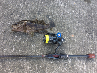 デイガシリング＆タチウオ