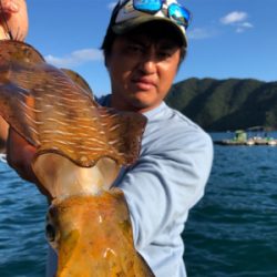 つりぴぃぽぉ釣果