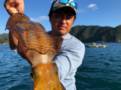 つりぴぃぽぉ釣果