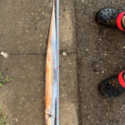 タチウオ朝夕2ラウンド