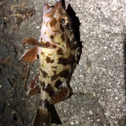 神聖なところで釣り遊び