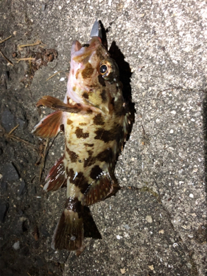 神聖なところで釣り遊び