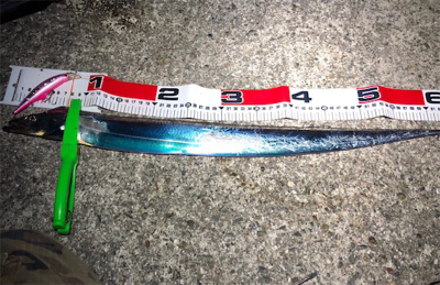 連チャンポーアイ沖堤