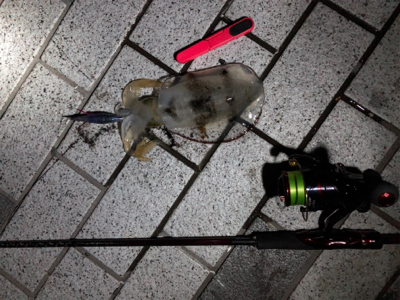 ランガンエギング