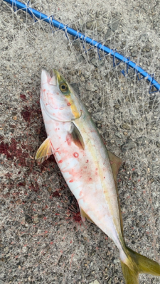 久しぶりのエサ釣り