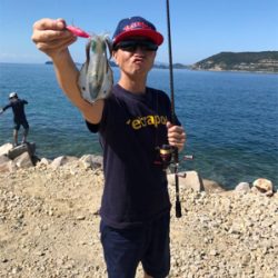 今期初エギング