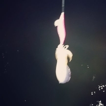 エギング釣行その43