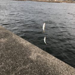 爆風ジグサビキ