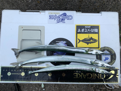 朝一ショアラバでマゴチ54センチ