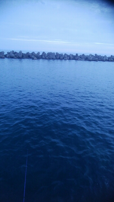 アオリイカ10杯！！