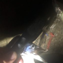 タチウオ爆釣！