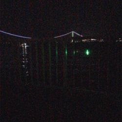 荒れる前にイカ