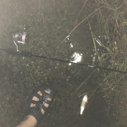 久々ライトゲーム