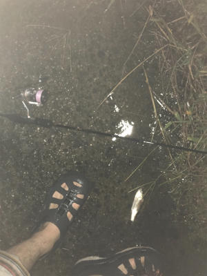 久々ライトゲーム