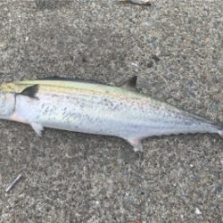 寝坊で遅刻と届かぬナブラ