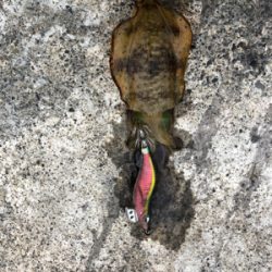 爆風釣行２日目