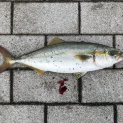 渋い中、粘って粘って…