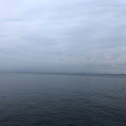 朝夕のタチウオ2ラウンド