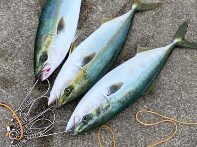 成長がみえる！！！