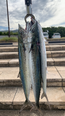 釣り強化合宿にて…