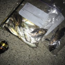 楽しめました！