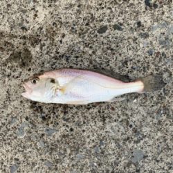 惜しくも70に届かず