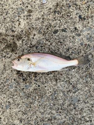 惜しくも70に届かず