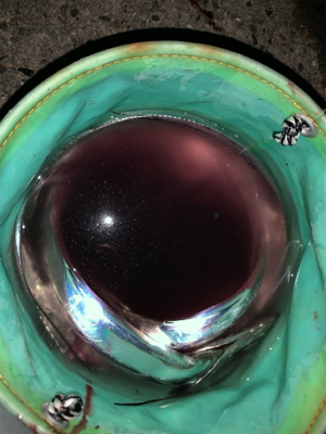 サイズがええ、、