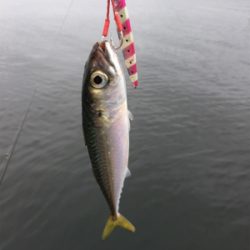 はじめてのメッキ!