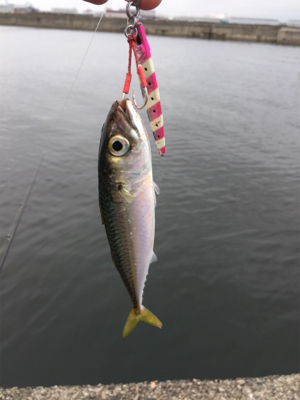 はじめてのメッキ!