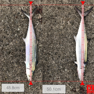 強風のなか強行（笑）
