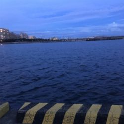 狙いではなかったが