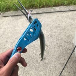 爆風ライトゲーム