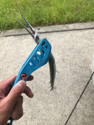 爆風ライトゲーム