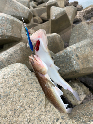 エソパーティー