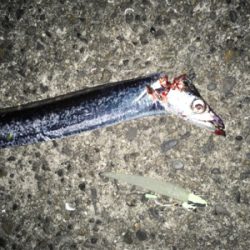 居るには居るが・・