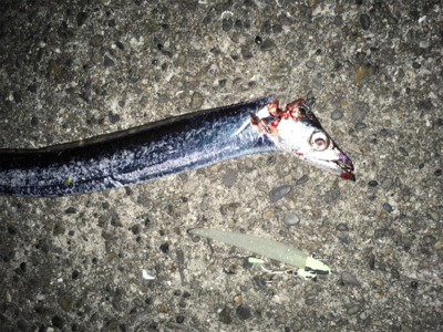 居るには居るが・・