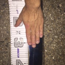 アタリ少ないですがやっと入ってきた!