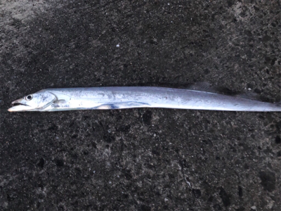 シブかったけどなんとか！