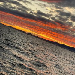 ショアジギング