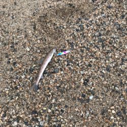 爆風と外道の嵐。