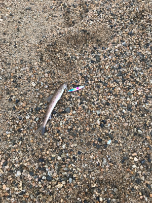 爆風と外道の嵐。