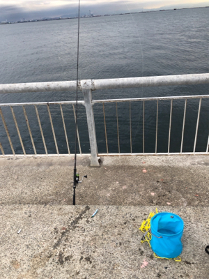 芦屋でも良型！