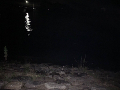 シャローエリア 水深約80cmでシーバス (フラペンs65)