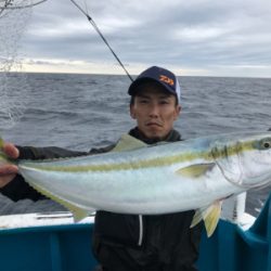 阿波哲 伊島沖便 近海ベイジギング
