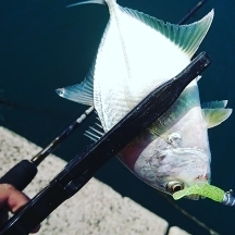 メッキゲーム！