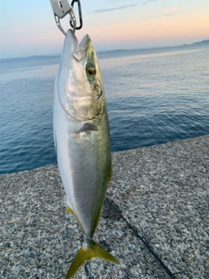 なんとか取れた…